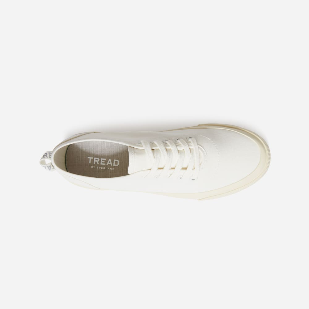 The Forever Sneaker? | White - Image 8