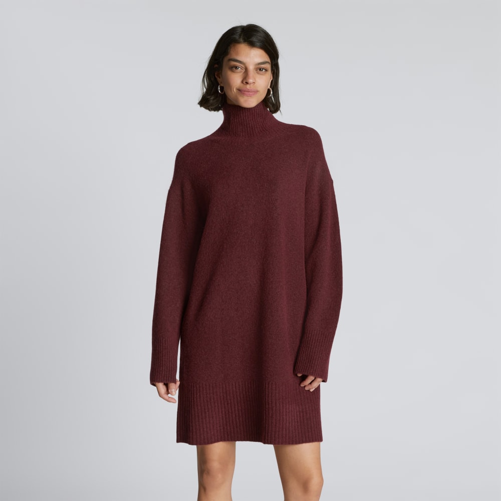 The Cozy Stretch Turtleneck Dress | Brandy