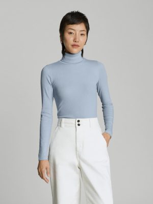 The Luxe Micro-Rib Turtleneck | Mist